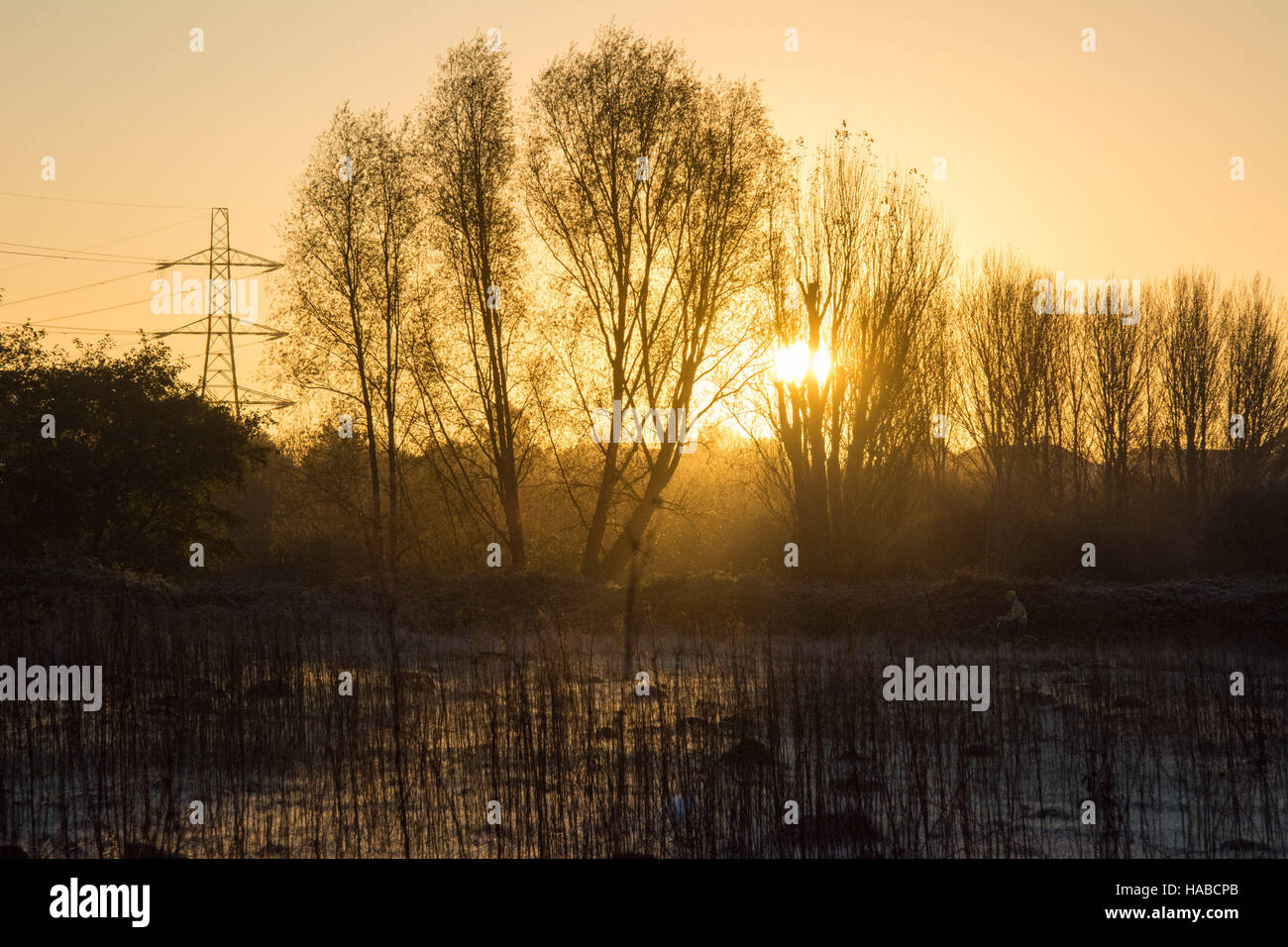 Tottenham Marshes, London, UK 29th November 2016. A frosty start to the day in Tottenham on a clear November morning. Credit:  Patricia Phillips/ Alamy Live news Stock Photo