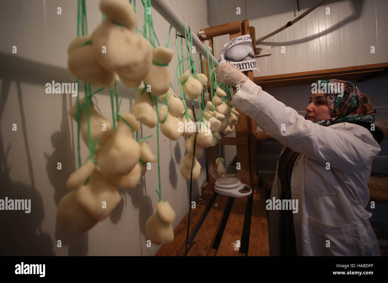 Tubas. 28th Nov, 2016. A Palestinian employee arranges templates of Italian cheese before packing them inside the dairy unit of the Palestinian Livestock Development Center in the West Bank town of Tubas on Nov. 28, 2016. The Center has been producing top quality Italian cheeses like Ricotta and Pecorino since 2004, following traditional recipes. The milk of cows and sheep is used in manufacturing four types of Italian cheese. The templates of cheese need more than 20 days to dry and become ready for eating. © Ayman Nobani/Xinhua/Alamy Live News Stock Photo