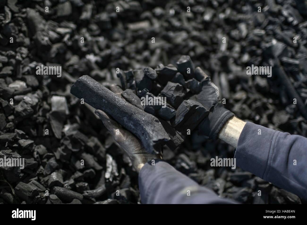 Gaza. 28th Nov, 2016. A Palestinian worker repacks charcoal imported from Egypt into small bags to be sold for 6 Shekels (1.5 USD) in public markets in Gaza City on Nov. 28, 2016. Palestinians started to import charcoal after Israel destroyed trees during offensive in Gaza in the past years. Charcoal is mainly used by restaurants and coffee shops. © Wissam Nassar/Xinhua/Alamy Live News Stock Photo