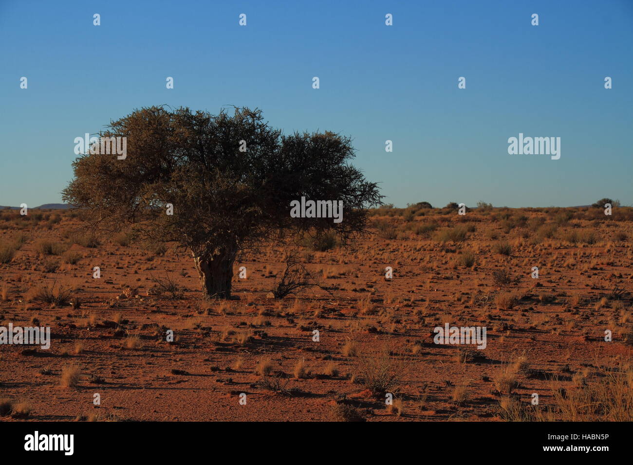Nama Karoo landscape Namaqualand Northern Cape Province South Africa image with copy space in landscape format Stock Photo