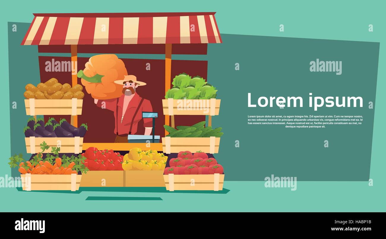 Farm Market Organic Eco Fruits Vegetables Grocery Stock Vector Image ...