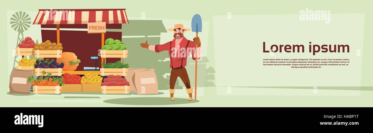 Farm Market Organic Eco Fruits Vegetables Grocery Stock Vector Image ...