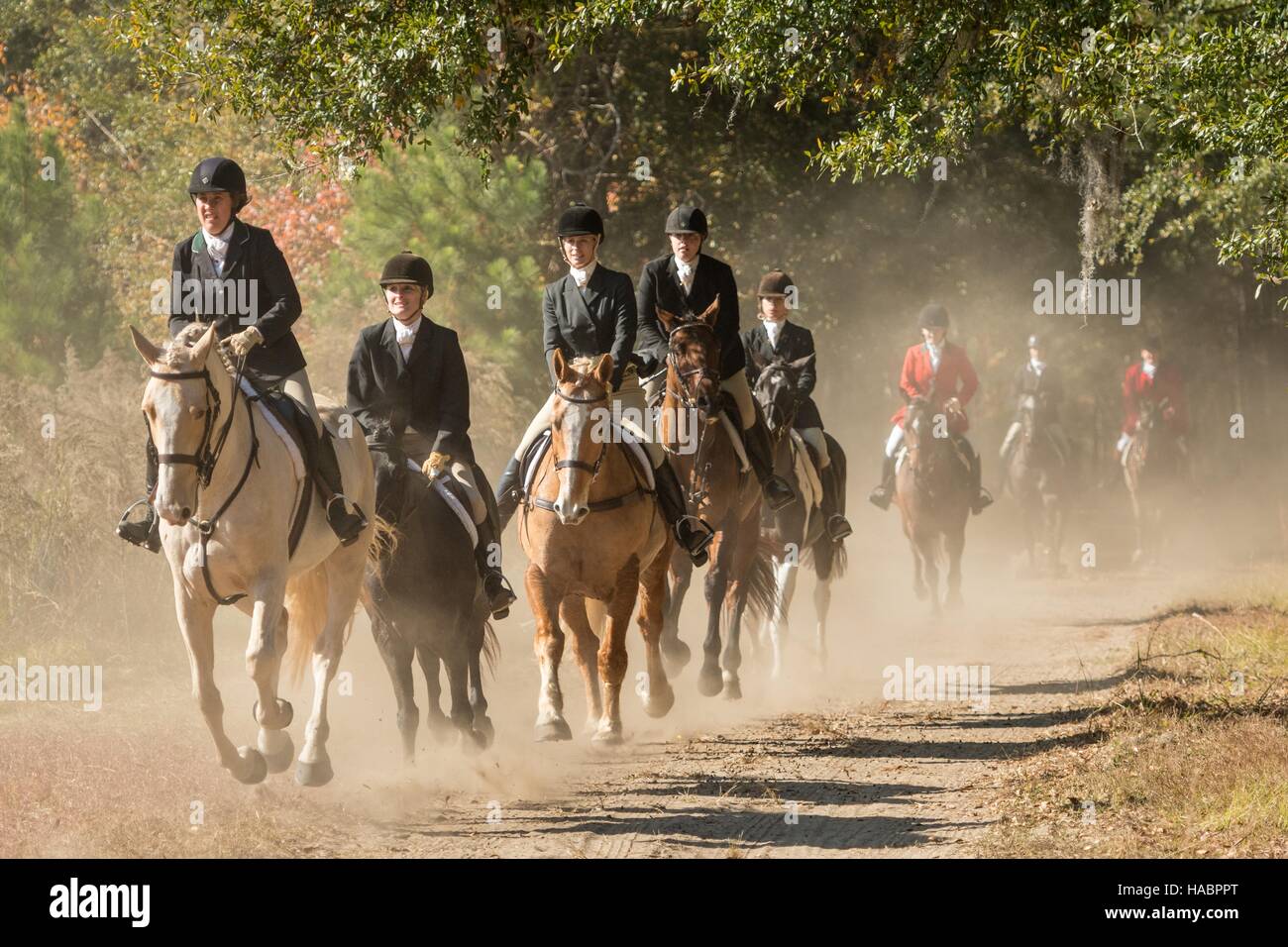 Riders follow the hounds during the first hunt of the season at Middleton Place Plantation November 27, 2016 in Charleston, SC. Fox hunting in Charleston is a drag hunt using a scented cloth to simulate a fox and no animals are injured. Stock Photo