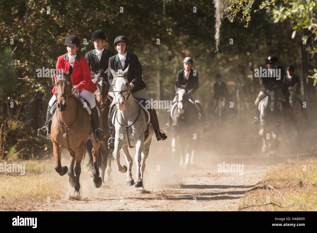Middleton Hunt Riders follow the hounds during the first hunt of the season at ...