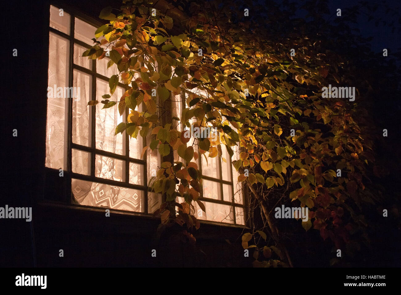 light in veranda window among night darkness Stock Photo