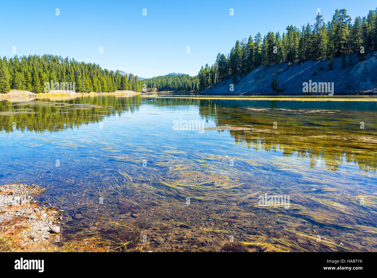 Yellowstone River landscape with beautiful forest reflection in Yellowstone National Park Stock Photo
