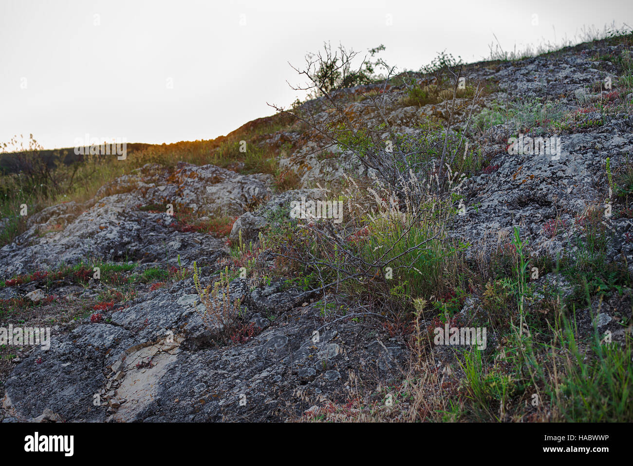 Vegetated Ridges Rocky vegetation hi-res stock photography and images - Alamy