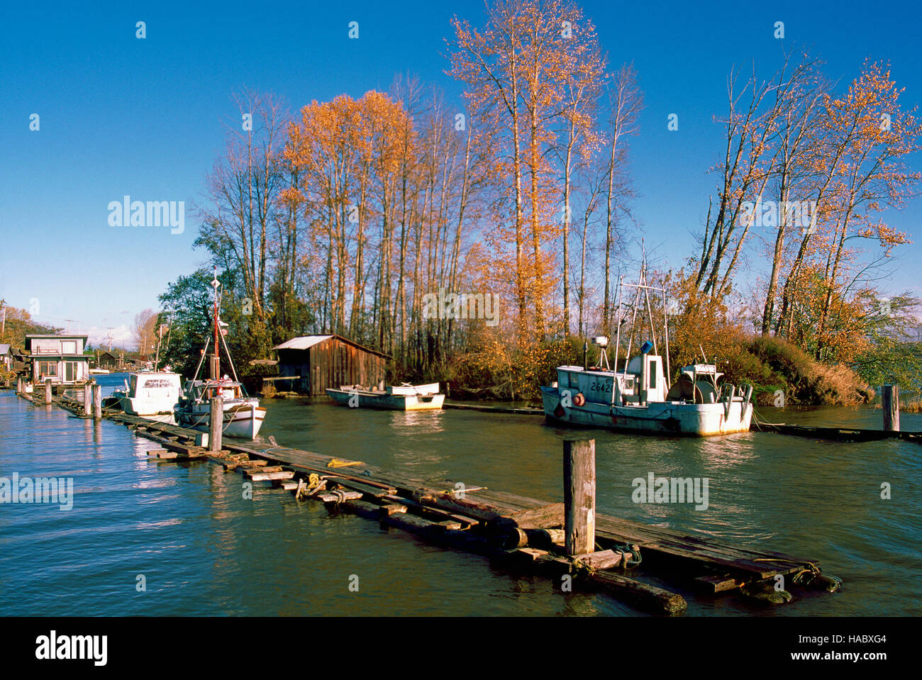 Fraser River, Richmond, BC, British Columbia, Canada - Commercial Fishing Boats docked in Finn Slough, a Tidal Community Stock Photo