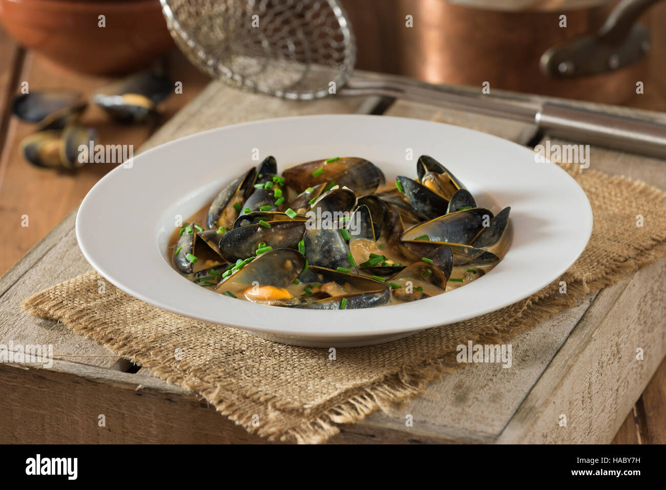 Mussels in Guinness Cream Sauce Stock Photo