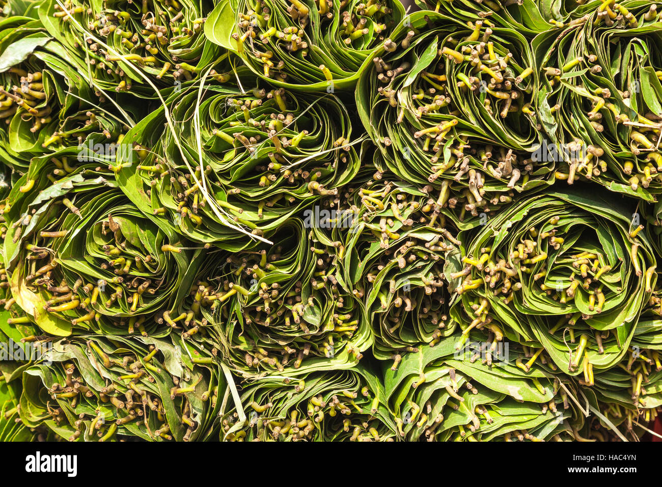 Leaf plates at a market in Kathmandu, Nepal. Stock Photo