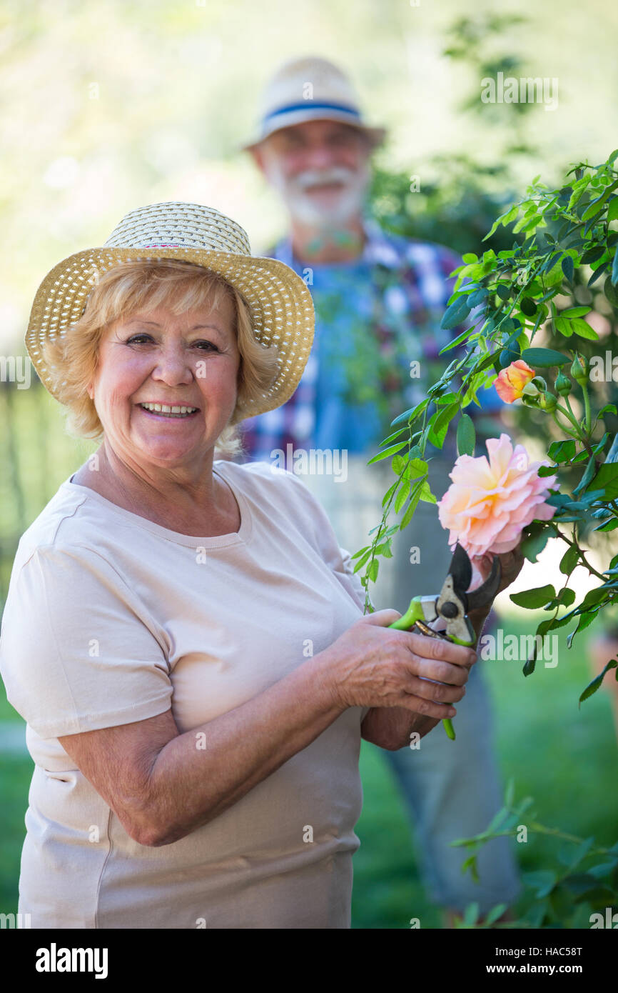 Senior woman cutting flower with pruning shears Stock Photo