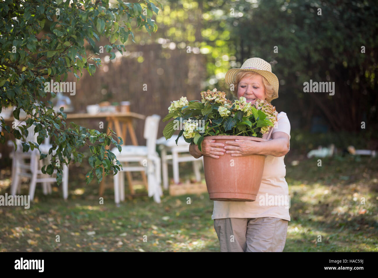 Senior woman carrying pot plant in garden Stock Photo - Alamy