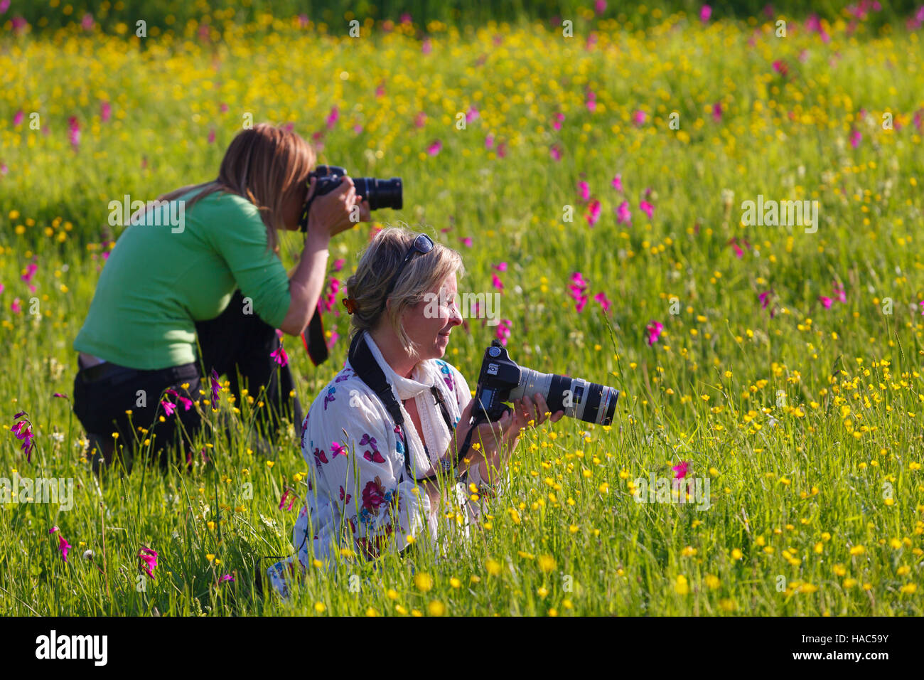 Passionate women photographers take pictures of beautiful flowers and