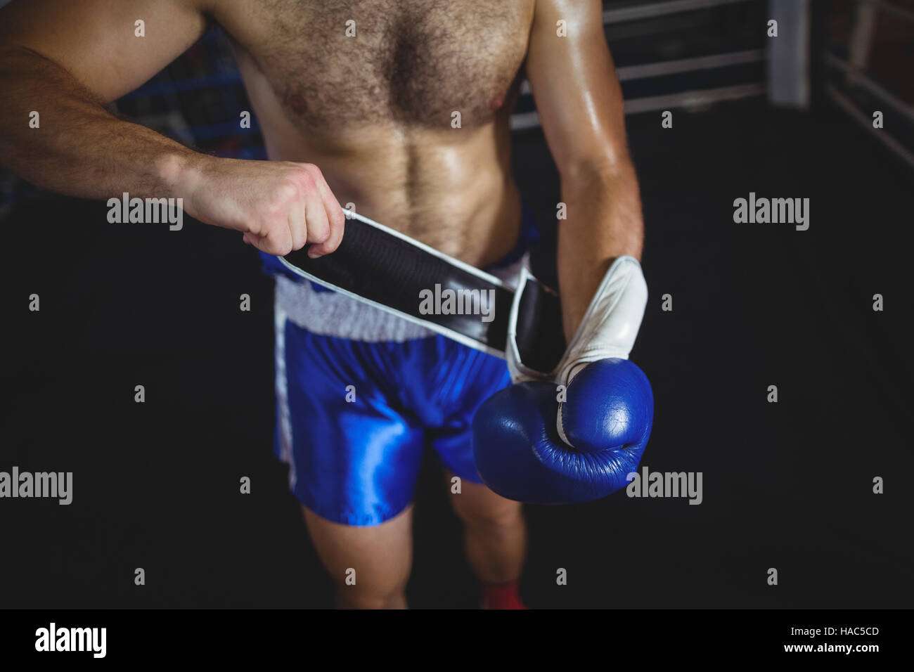 Boxer wearing boxing gloves Stock Photo Alamy