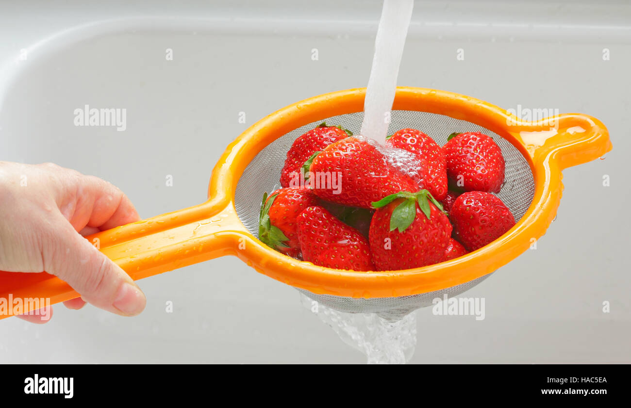 Rinsing strawberries in a sieve under a jet of water Stock Photo Alamy