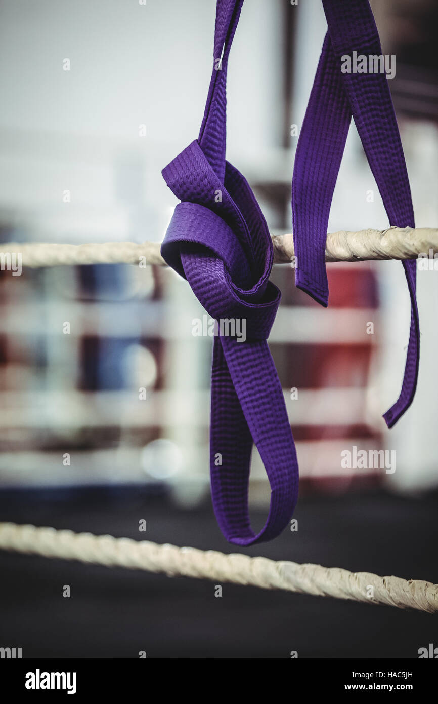 Пояс Jitsu Purple
