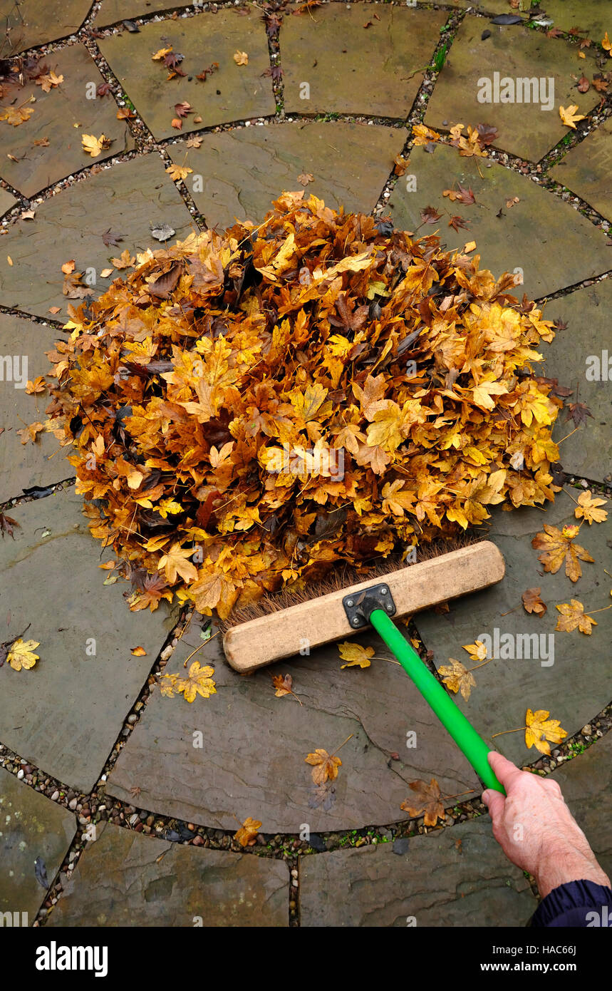 Brushing up autumn leaves Stock Photo