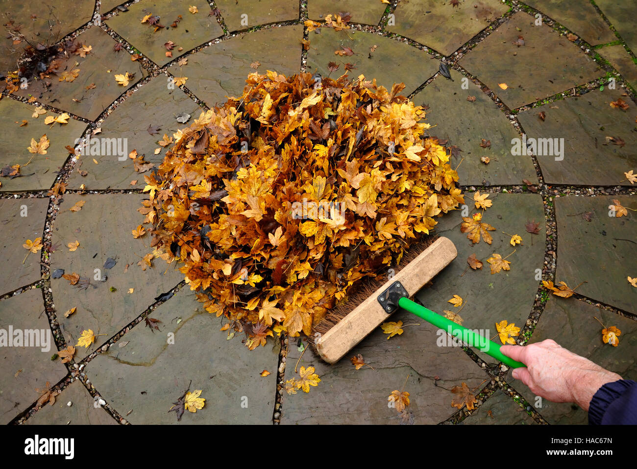 Brushing up autumn leaves Stock Photo
