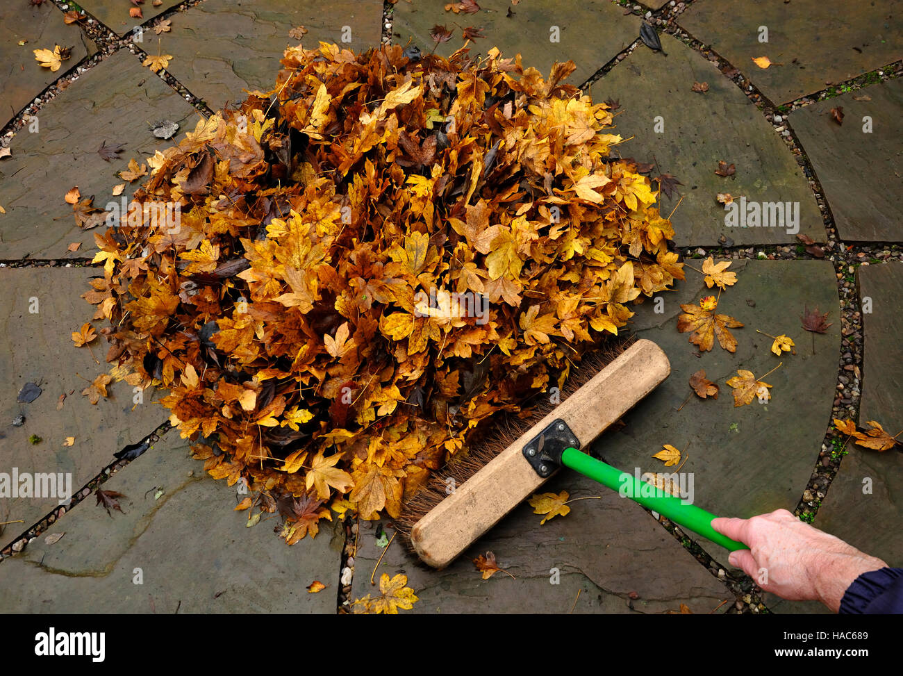 Brushing up autumn leaves Stock Photo - Alamy