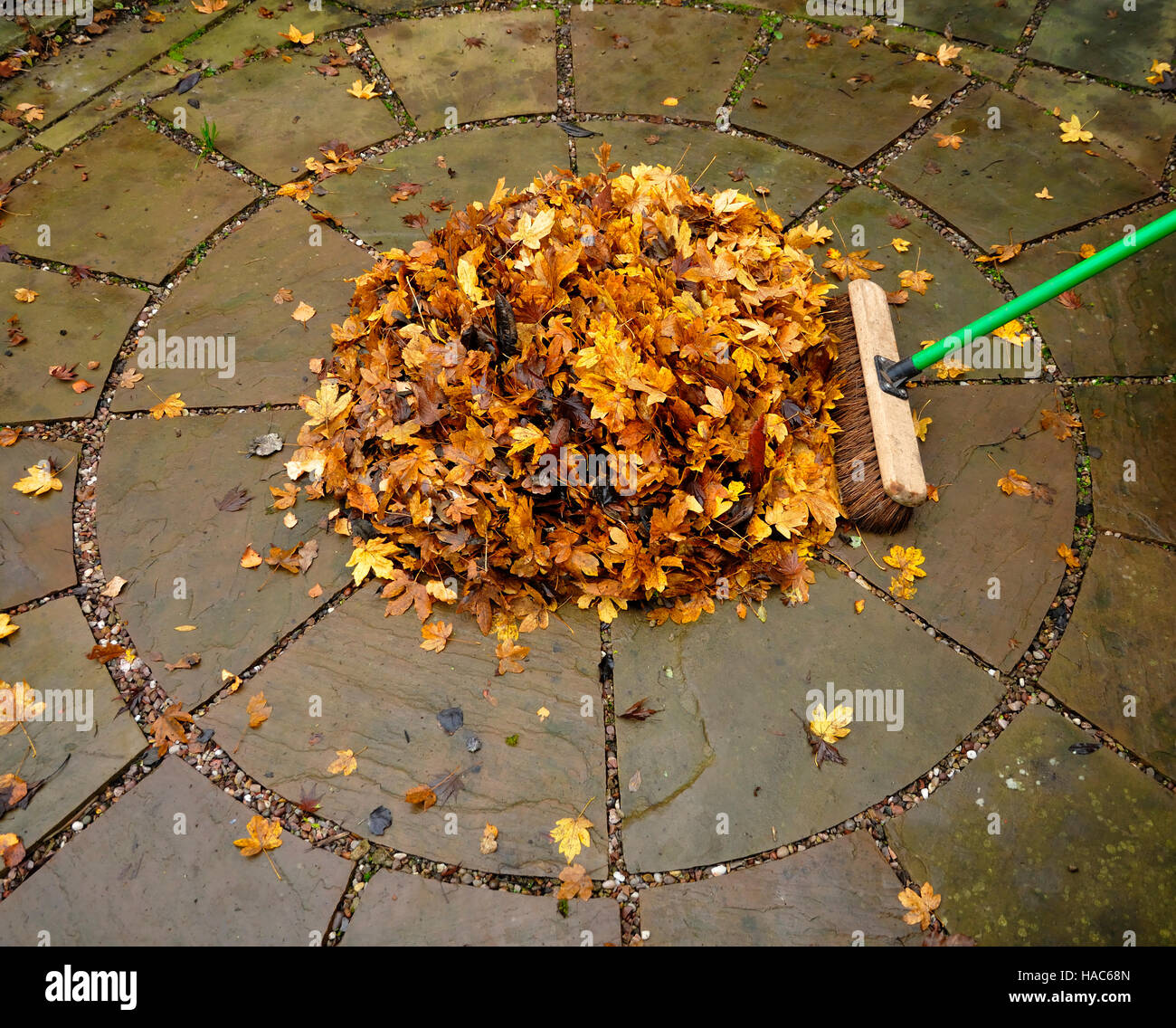 Brushing up autumn leaves Stock Photo Alamy