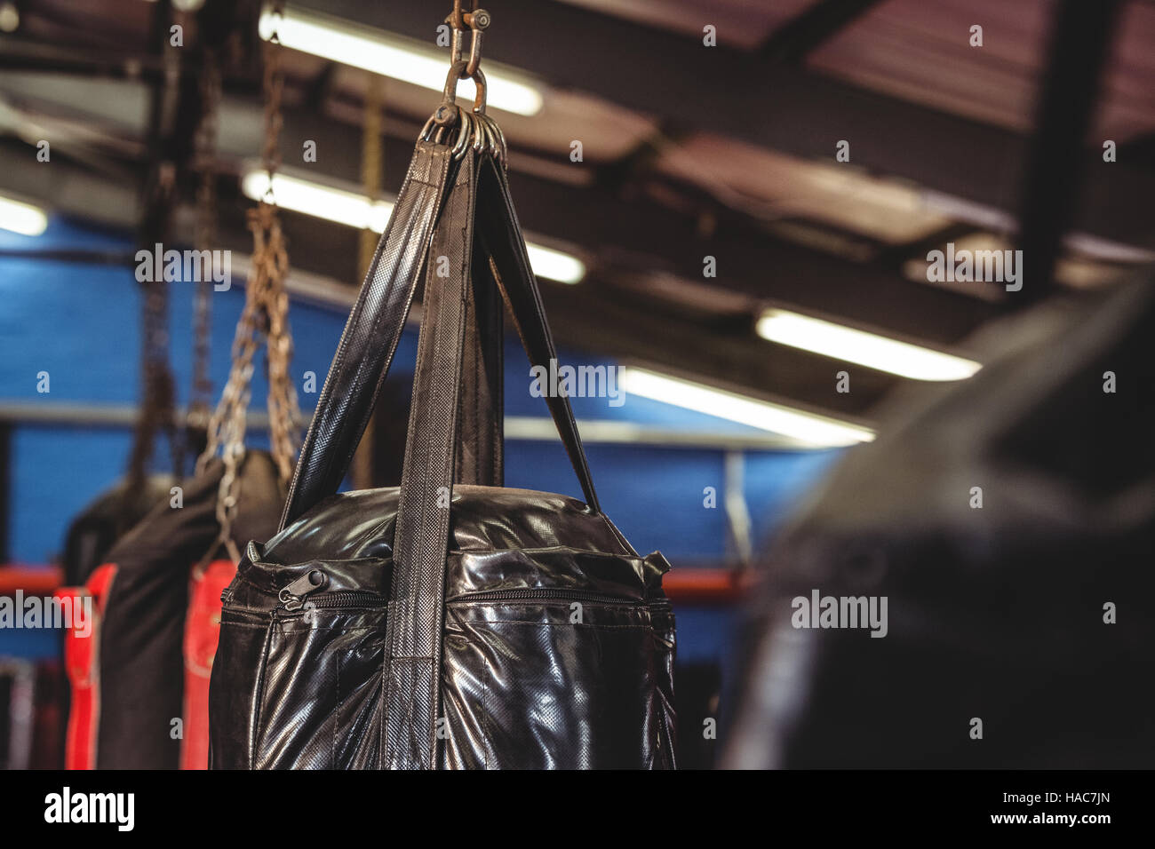 Punching Bag Hanging From Ceiling Stock Photo 126888573 Alamy