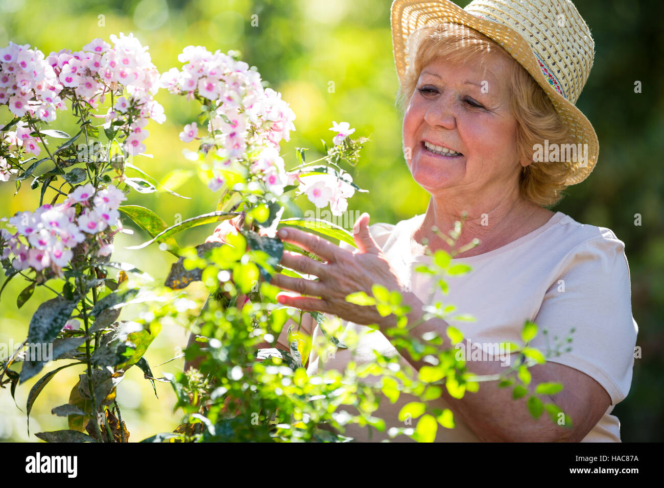 Senior woman examining flowers in garden Stock Photo - Alamy