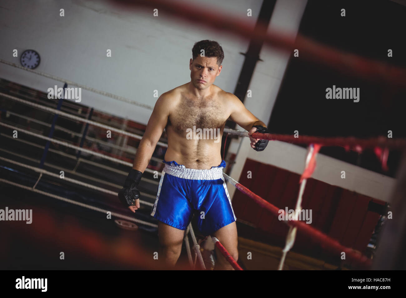 Boxer entering in boxing ring Stock Photo Alamy
