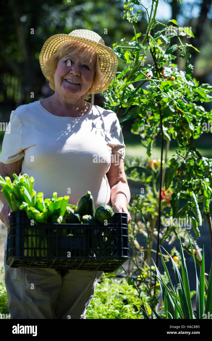 Senior woman holding crate of fresh vegetables in garden Stock Photo ...
