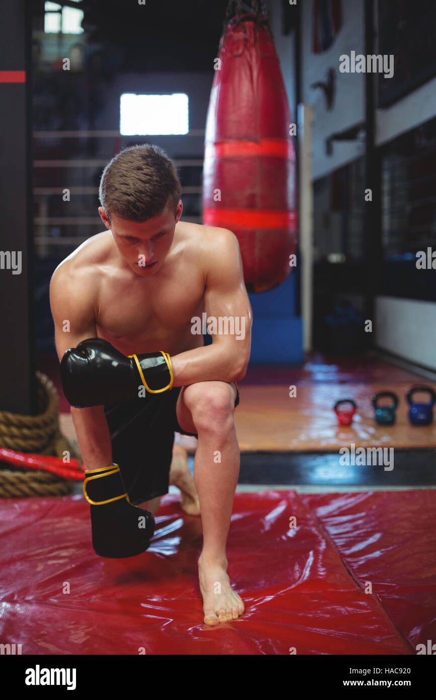 Boxer performing boxing stance Stock Photo Alamy