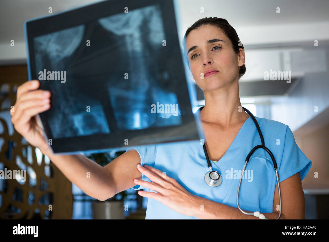 Female surgeon examining an x-ray report Stock Photo - Alamy