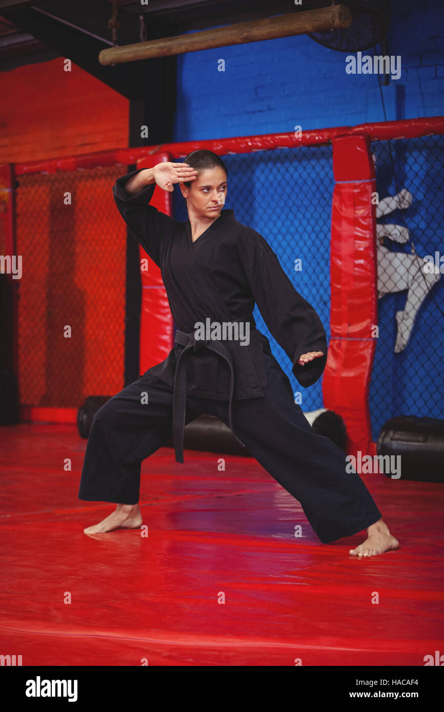 Female karate player performing karate stance Stock Photo Alamy