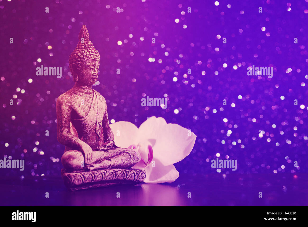 Buddha statue and a orchid flower on a bright shiny background with