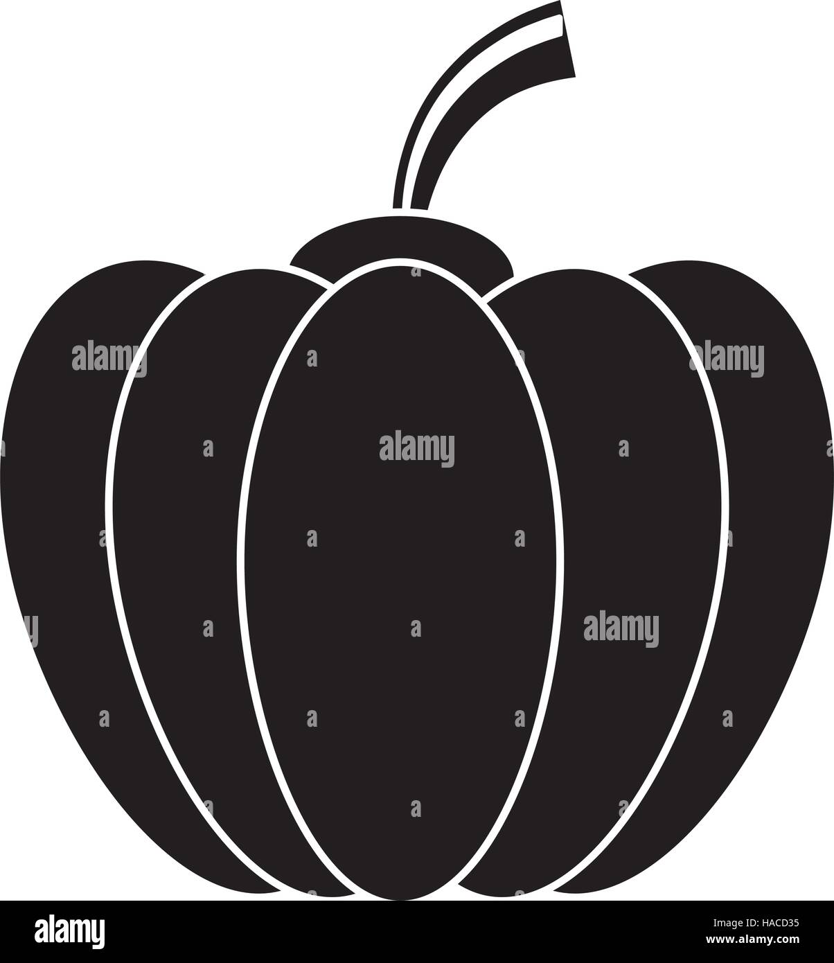 pictogram pumpkin harvest bittersweet vegetable icon Stock Vector Image ...