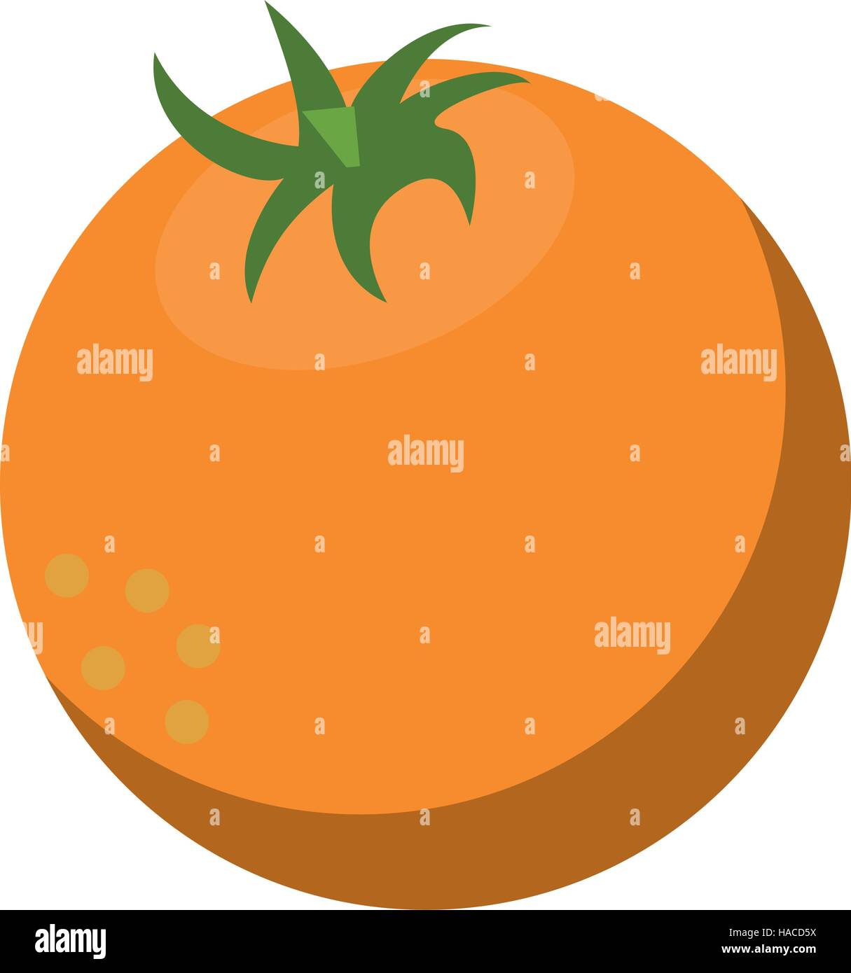 fresh orange fruit nature Stock Vector Image & Art - Alamy
