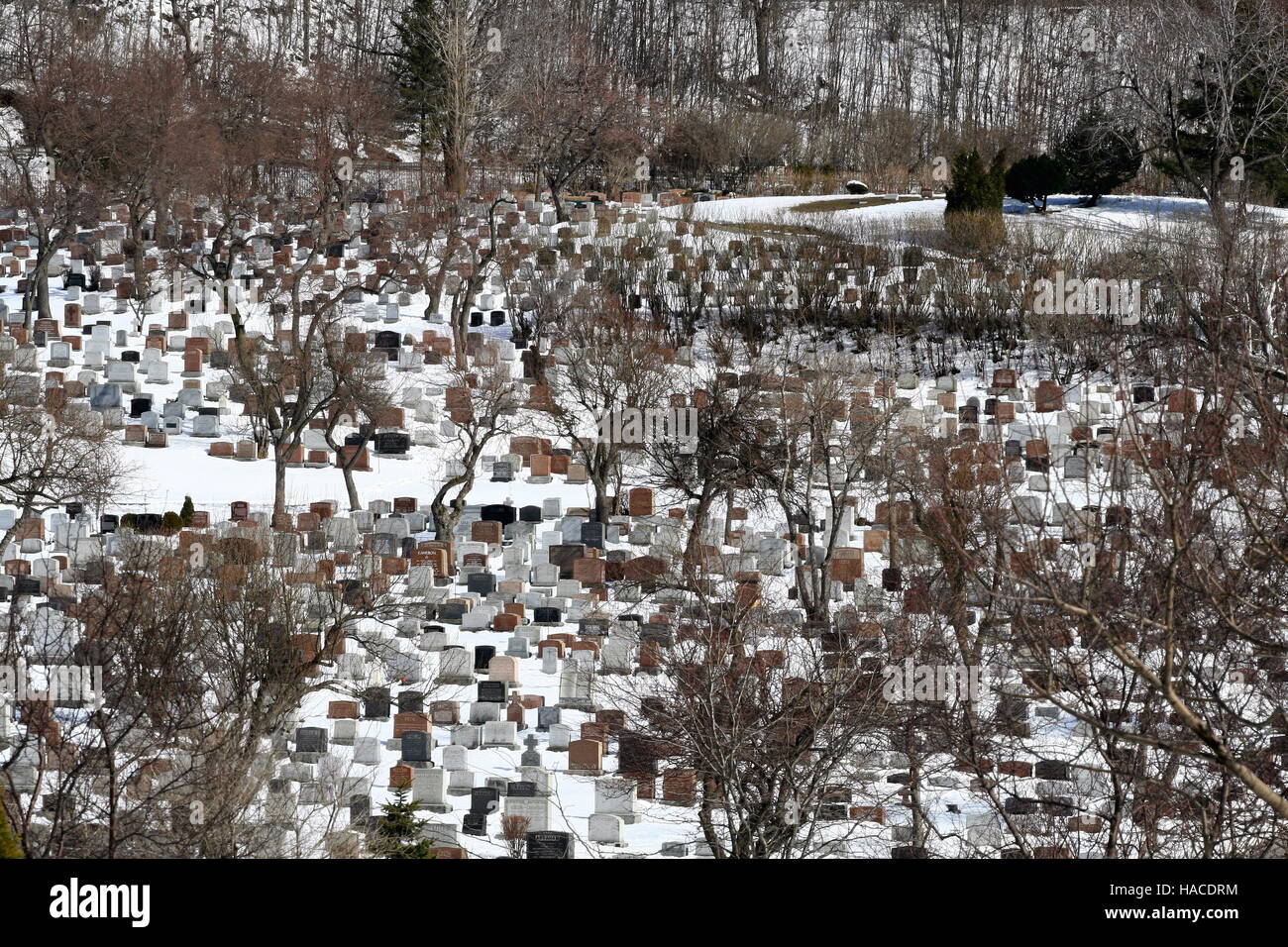 The Mount Royal cemetery in Montreal, Quebec Stock Photo Alamy