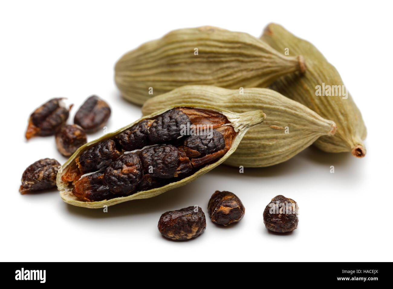 Green cardamom pods and seeds close up on white background Stock Photo