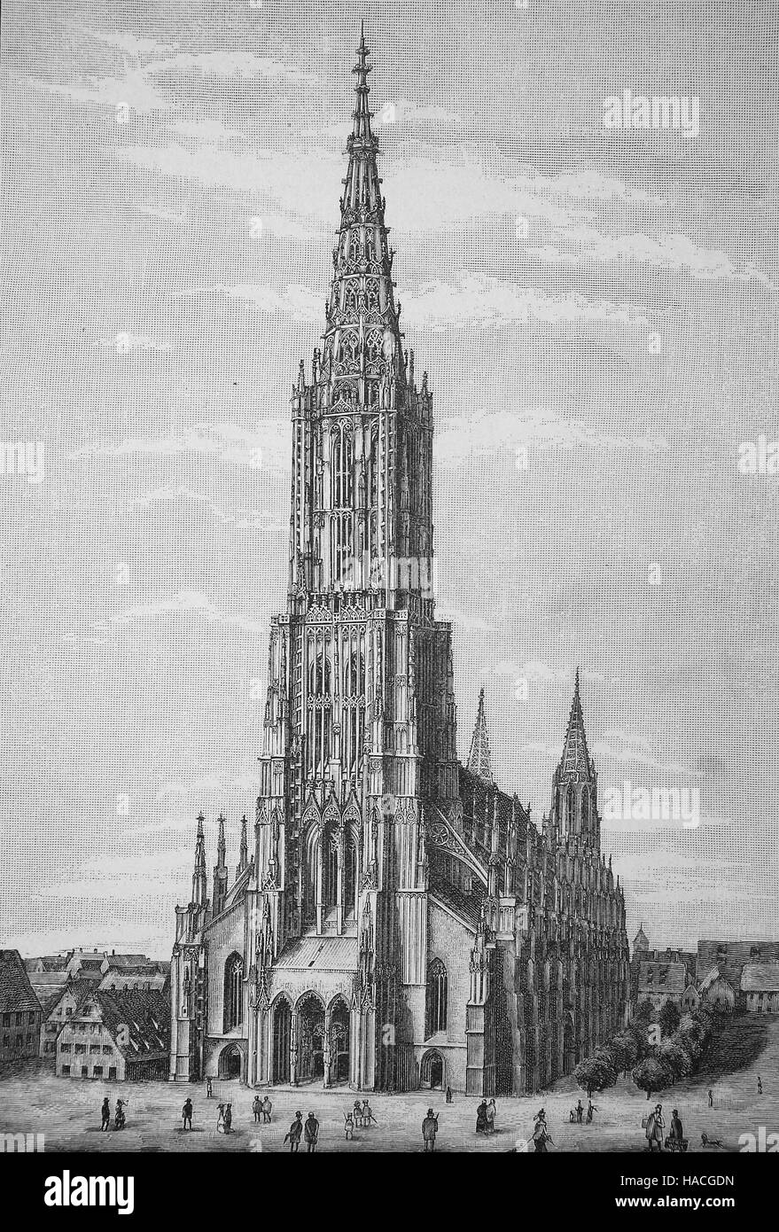 Ulm Minster, Ulmer Muenster, is a Lutheran church located in Ulm, Germany, 1880, historic illustration, woodcut Stock Photo