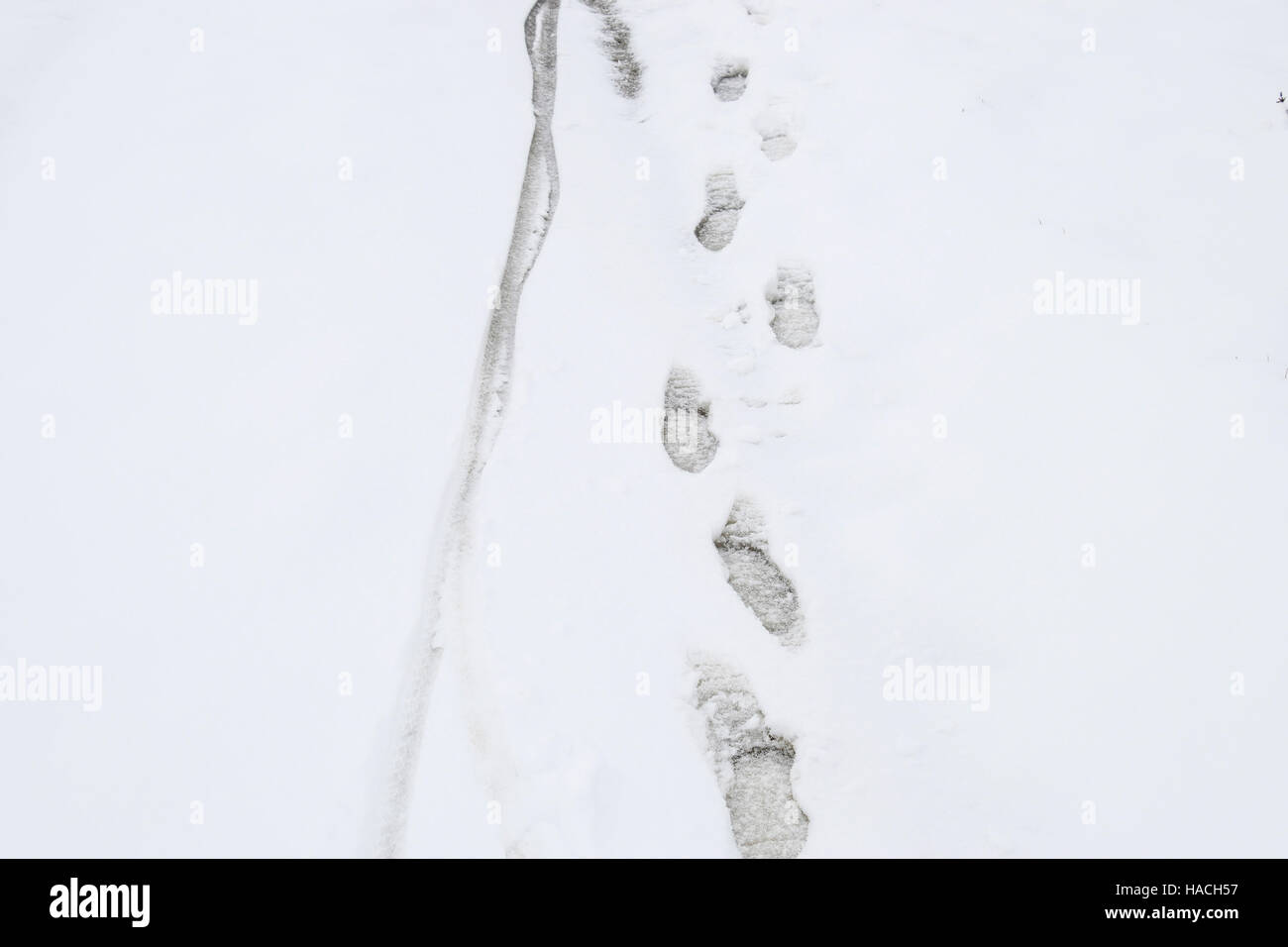 Human footprints in the snow. The path in the snow Stock Photo - Alamy