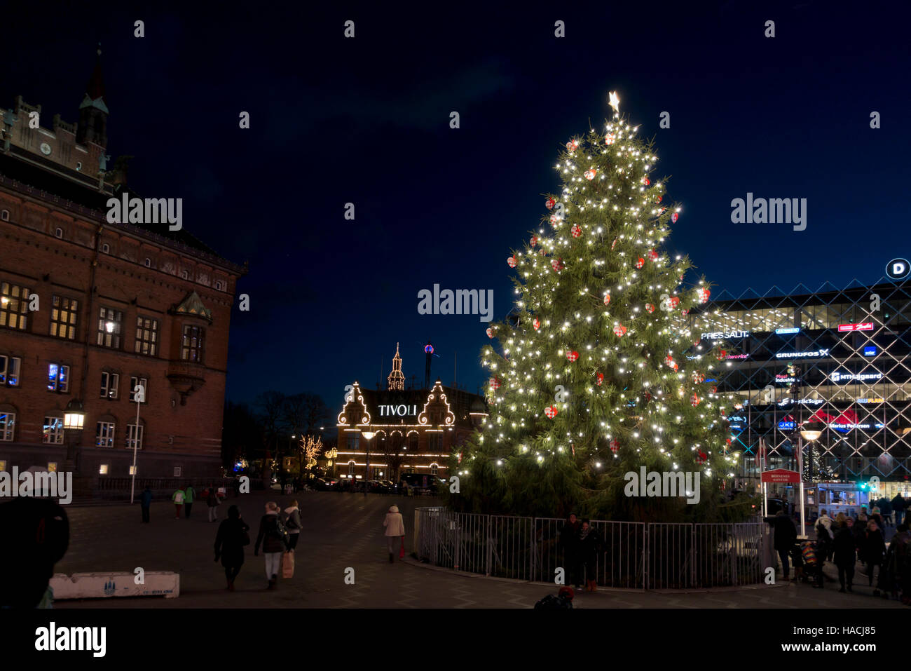 Christmas tree in the City Hall Square in Copenhagen just lit on the First Sunday in Advent. Tivoli and Industriens Hus distant. Stock Photo
