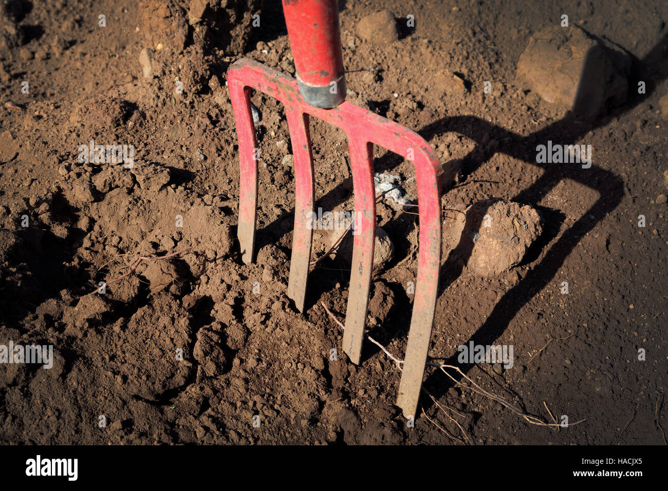 gardening fork in the ground -  pitchfork in sand Stock Photo