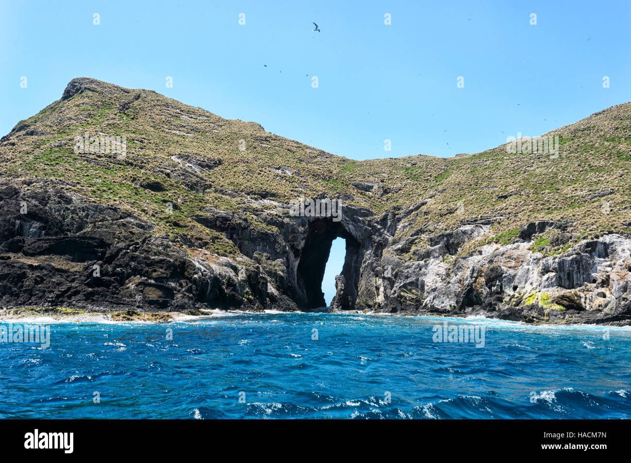 Admiralty Islands, Lord Howe Island, New South Wales, NSW, Australia