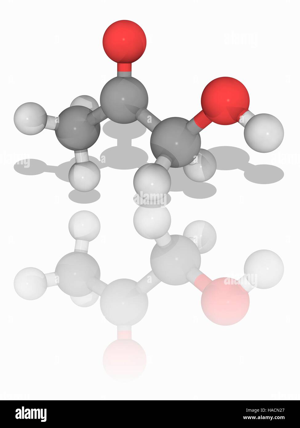 Acetol. Molecular model of the ketone acetol (C3.H6.O2), also known as hydroxyacetone and 1-hydroxy-2-propanone. It is also known as acetone alcohol and combines the functional group of a ketone with that of an alcohol. Atoms are represented as spheres and are colour-coded: carbon (grey), hydrogen (white) and oxygen (red). Illustration. Stock Photo
