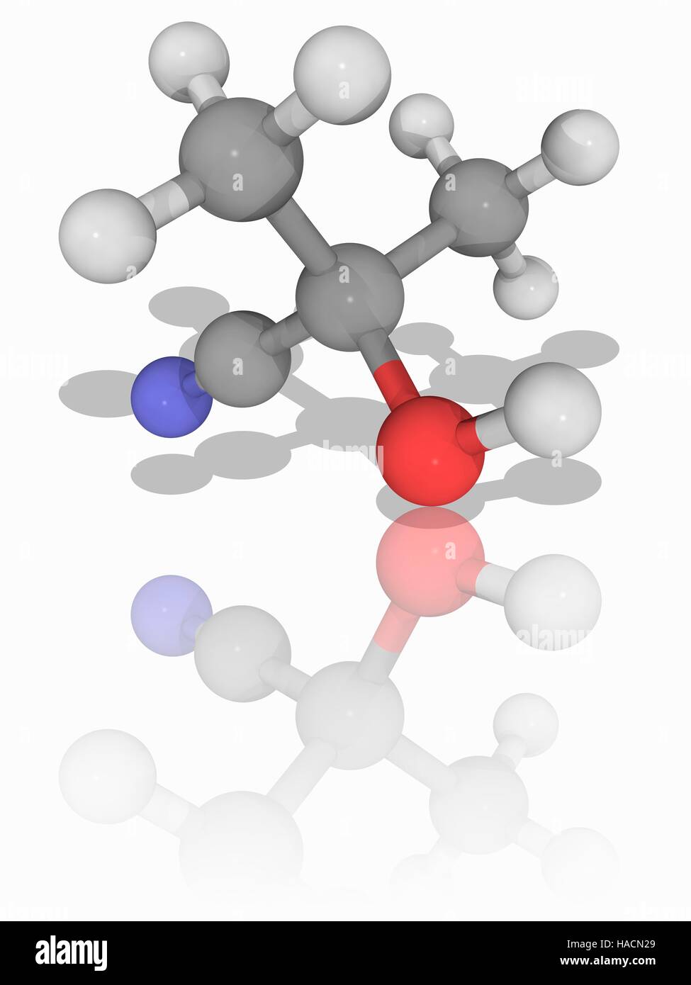 Acetone cyanohydrin. Molecular model of the organic compound acetone  cyanohydrin (C4.H7.N.O). This organic compound is used in the production of  plastics such as acrylic. Atoms are represented as spheres and are  colour-coded: