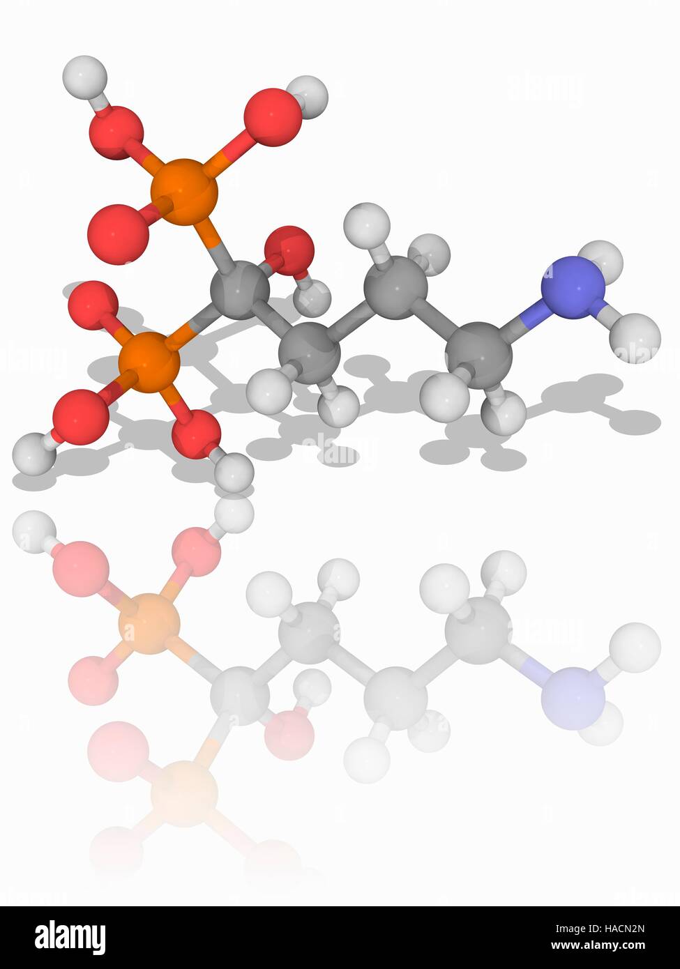 Alendronic acid. Molecular model of the biphosphonate drug alendronic acid (C4.H13.N.O7.P2), used for treatment of osteoporosis. Atoms are represented as spheres and are colour-coded: carbon (grey), hydrogen (white), nitrogen (blue), oxygen (red) and phosphorus (orange). Illustration. Stock Photo