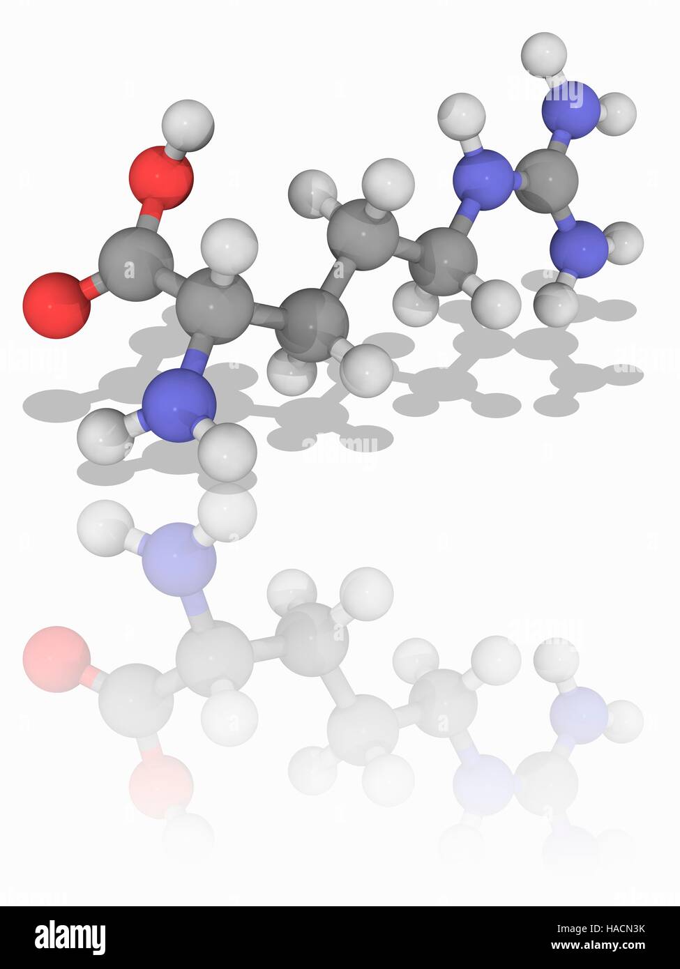 Arginine amino acid molecule Cut Out Stock Images & Pictures Alamy