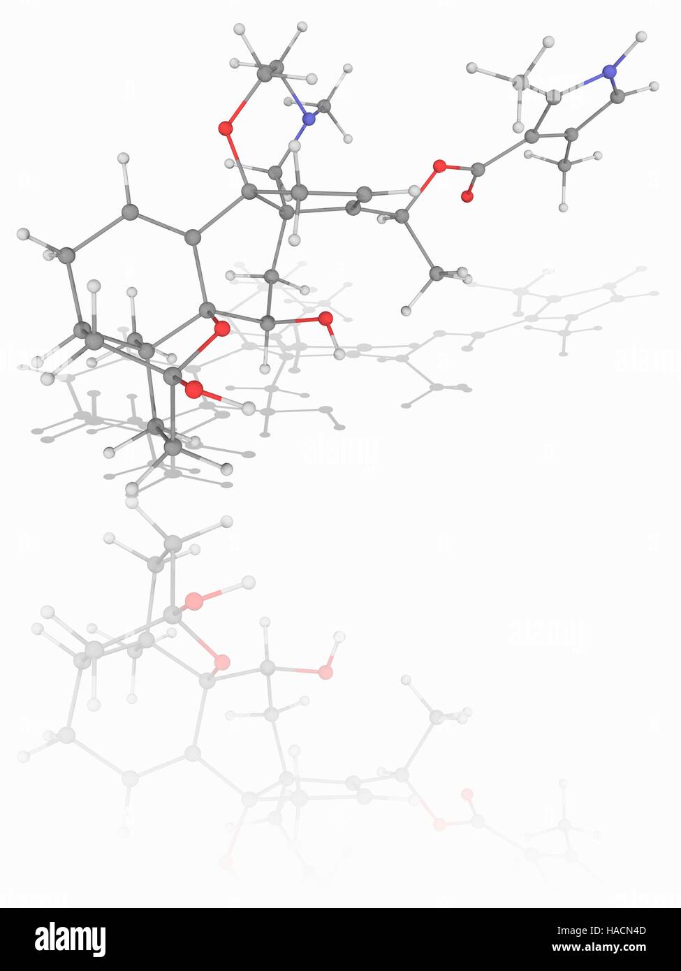 Batrachotoxin. Molecular model of the alkaloid batrachotoxin (C31.H42.N2.O6), a cardiotoxic and neurotoxic chemical found in poison dart frogs. Atoms are represented as spheres and are colour-coded: carbon (grey), hydrogen (white), nitrogen (blue) and oxygen (red). Illustration. Stock Photo