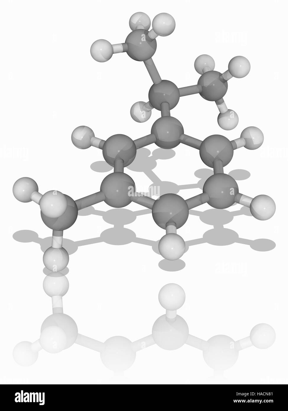 Cymene. Molecular model of the aromatic organic compound cymene (C10.H14), a constituent of many essential oils. Atoms are represented as spheres and are colour-coded: carbon (grey) and hydrogen (white). Illustration. Stock Photo