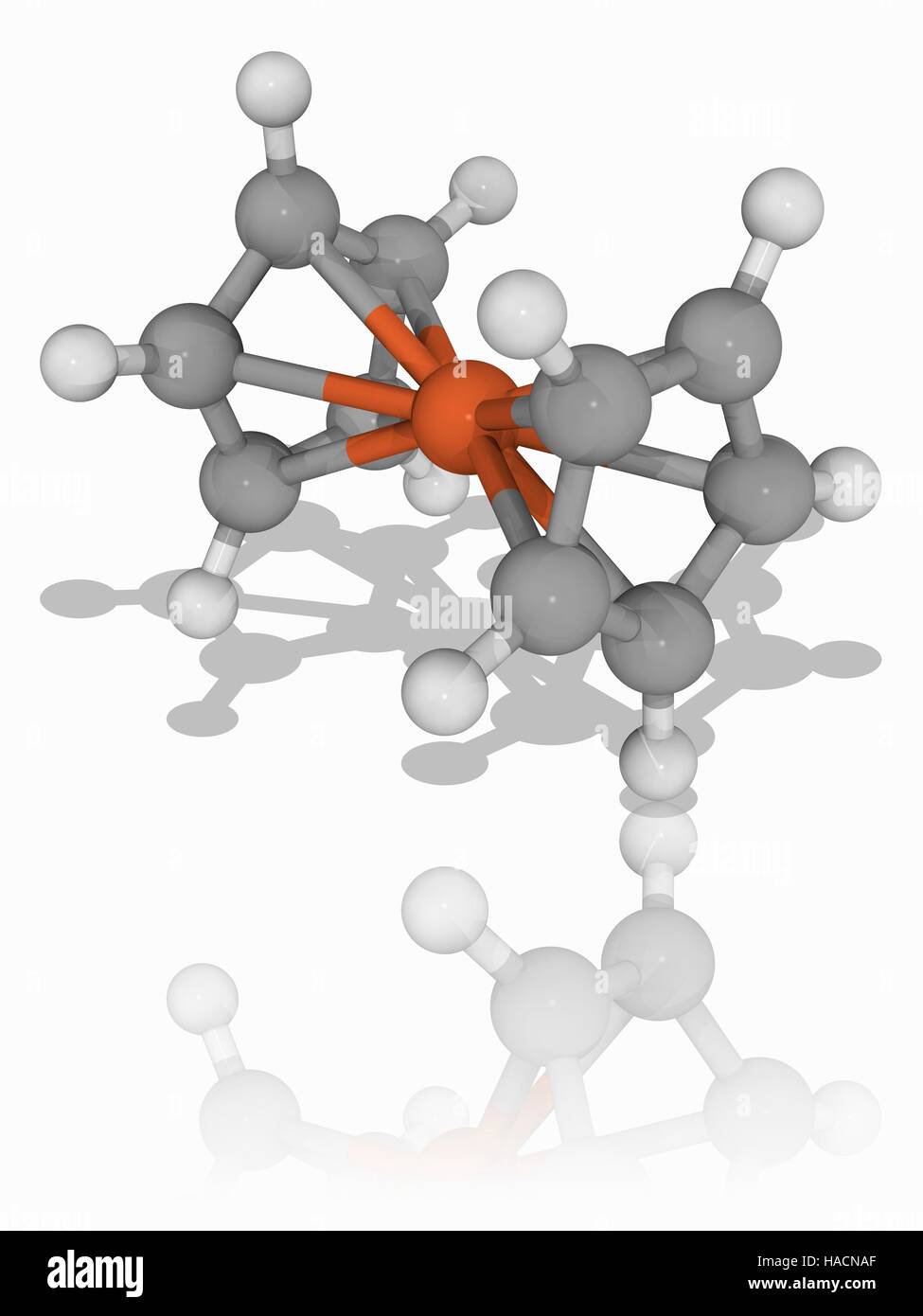 Ferrocene. Molecular model of the organometallic compound ferrocene (C10.H10.Fe). This is a metallocene consisting of two cyclopentadienyl rings bound by a central iron atom. The discovery of this compound and its properties led to the synthesis of many similar molecules and an explosion of interest in organometallic chemistry. Atoms are represented as spheres and are colour-coded: carbon (grey), hydrogen (white) and iron (brown). Illustration. Stock Photo