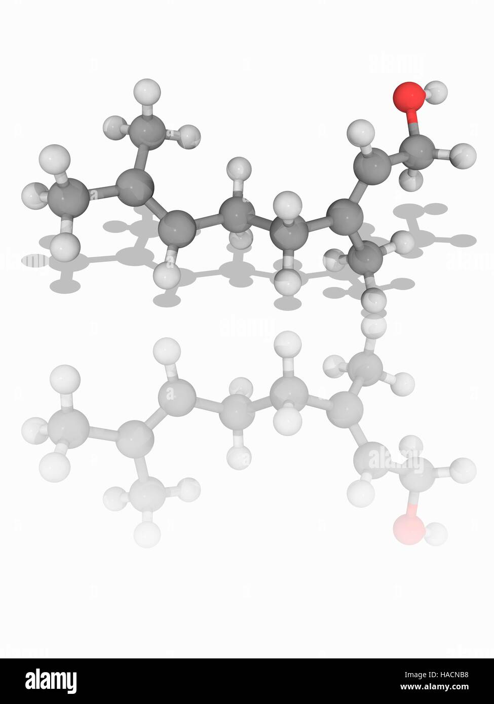 Geraniol. Molecular model of the monoterpenoid alkene alcohol geraniol