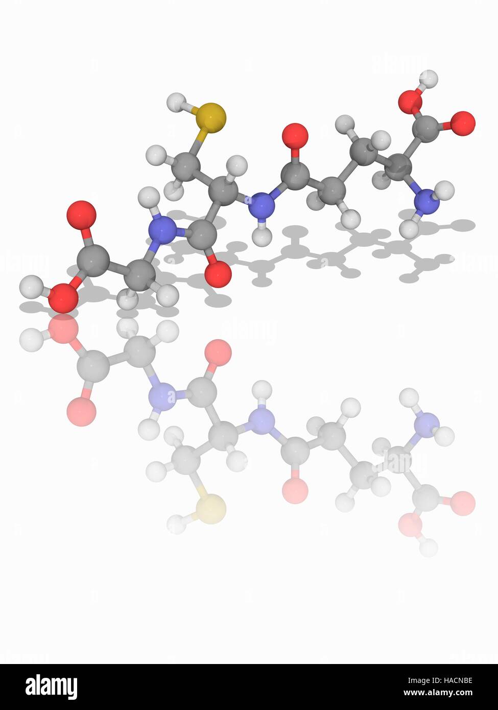 Glutathione molecular hires stock photography and images Alamy